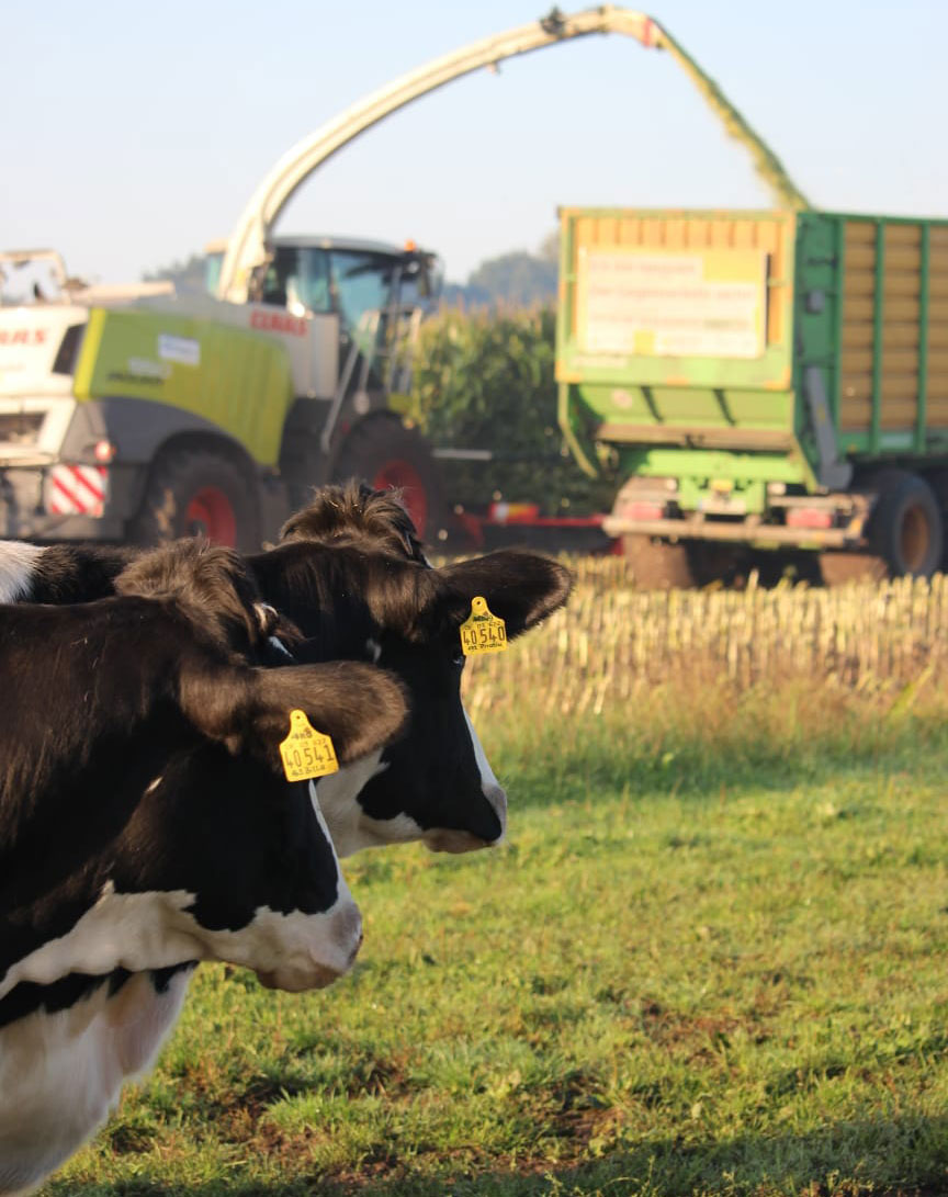 Eure Zukunft in der Landwirtschaft